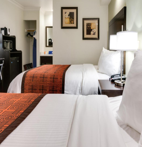 ENJOY OUR MODERN GUEST ROOMS WITH LOVELY WHITE LINENS